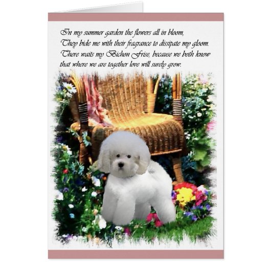 Bichon Frise Art Gifts (Front)