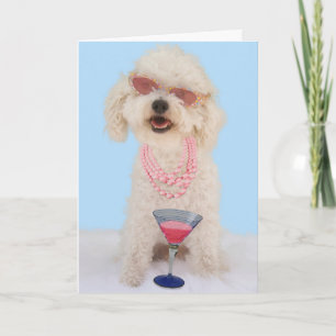 Bichon Frise Birthday Card by Focus for a Cause