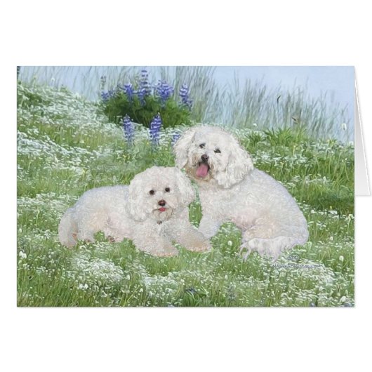 Bichon Frise Bluebonnets Cards (Front Horizontal)