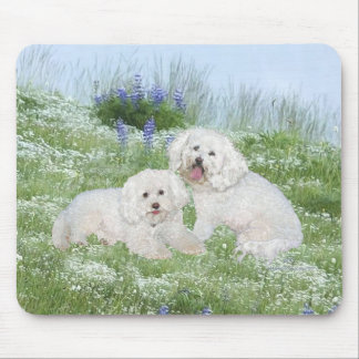 Bichon Frise Bluebonnets Mouse Pad