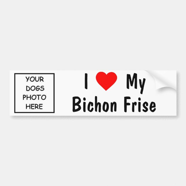 Bichon Frise Bumper Sticker (Front)