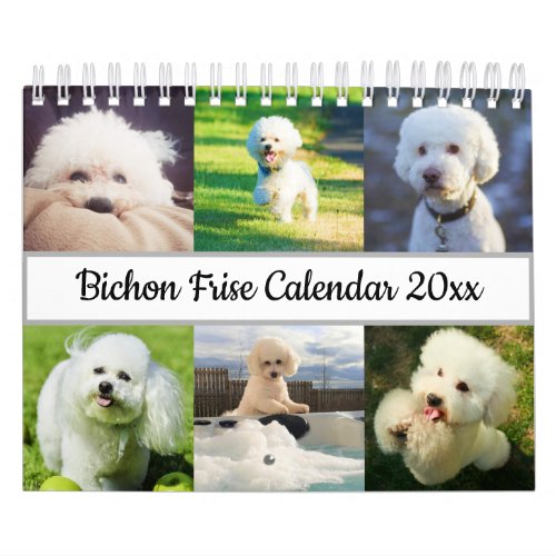 Bichon Frise Calendar