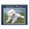 Bichon Frisé Calendar