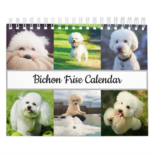 Bichon Frise Calendar