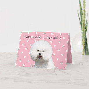 Bichon Frise Card