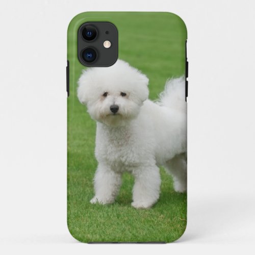 Bichon Frise iPhone 11 Case