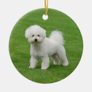 Bichon Frise Ceramic Ornament