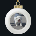 Bichon Frise Ceramic Ornament<br><div class="desc">Bichon Frise Ceramic Ornament</div>