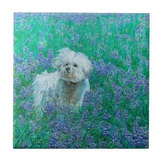 Bichon Frise Decorative Tile