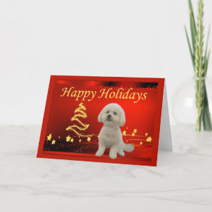 Bichon Frise Christmas Card Stars