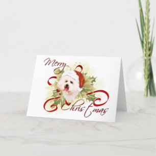 Bichon Frise Christmas Cards