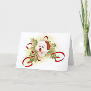 Bichon Frise Christmas Cards