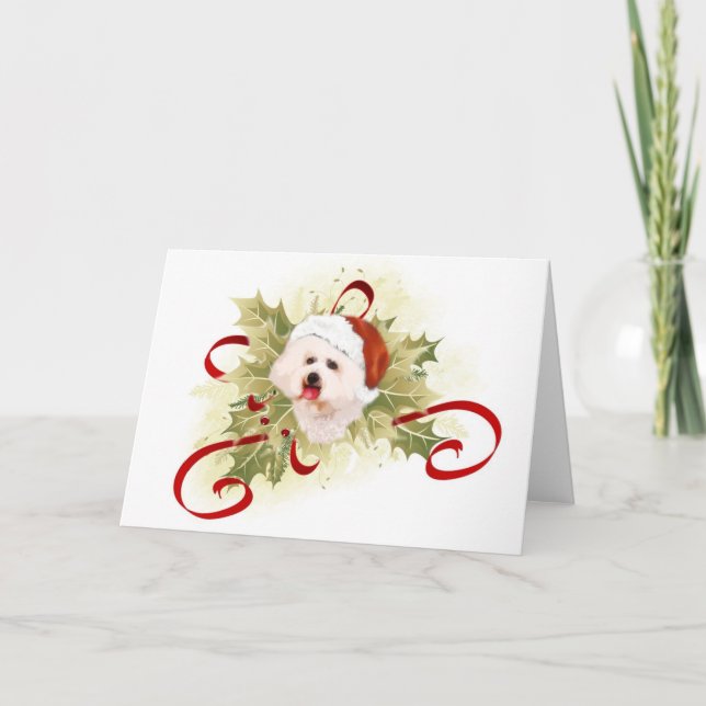 Bichon Frise Christmas Cards (Front)