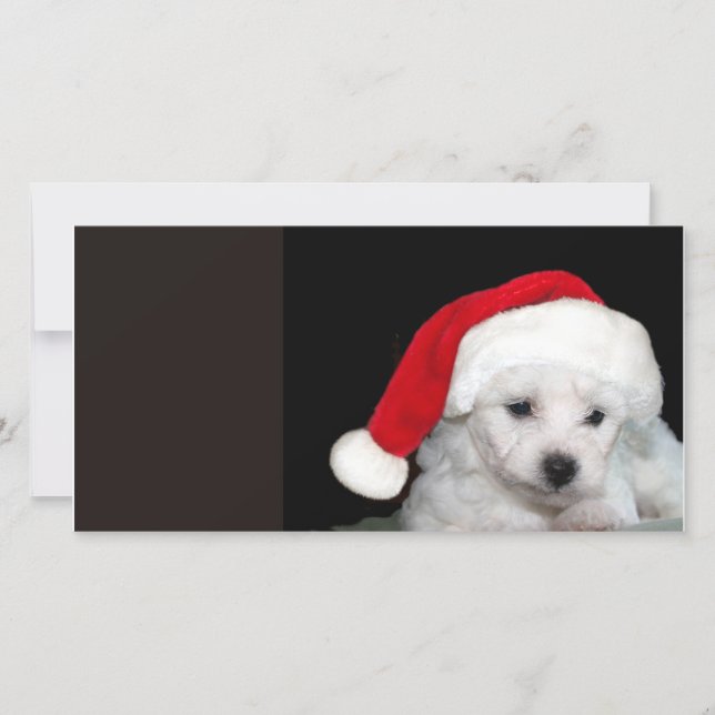 Bichon Frise Christmas Holiday Card (Front)