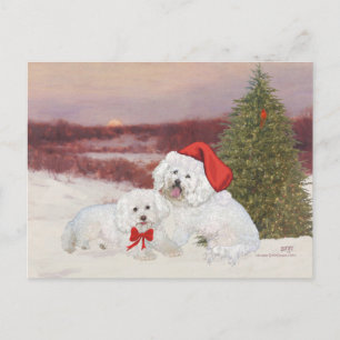 Bichon Frise Christmas Holiday Postcard