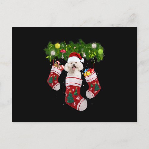 Bichon Frise Christmas Lights Gift Funny Xmas Dog  Postcard