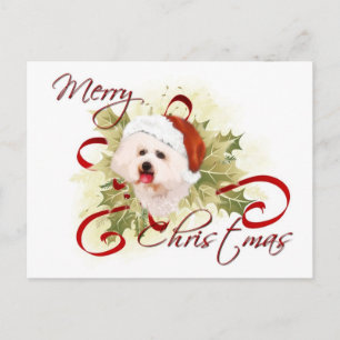 Bichon Frise Christmas Postcards