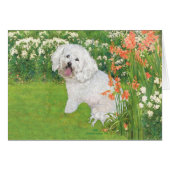 Bichon Frise Coral Fantasy (Front Horizontal)
