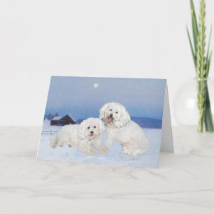 Bichon Frise December Evening Holiday Card