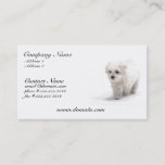 Bichon Frise Dog Business Card