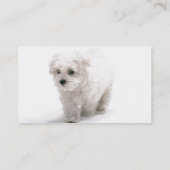 Bichon Frise Dog Business Card (Back)