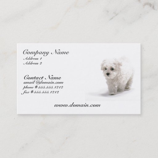 Customizable Bichon Frise Dog Business Card