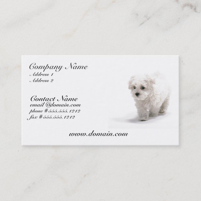 Bichon Frise Dog Business Card (Front)