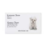 Bichon Frise Dog Business Card