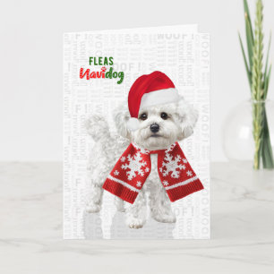 Bichon Frise Dog Funny Fleas Navidog Christmas Holiday Card