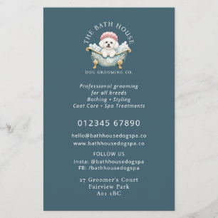 Bichon Frise Dog Grooming Flyer - Teal