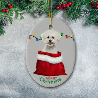 Bichon Frise Dog in Gift Bag Christmas