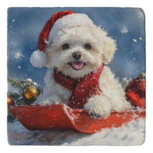 Bichon Frise Dog in Sledge Let it Snow Christmas  Trivet