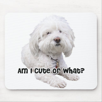 Bichon Frise Dog Mouse Pad