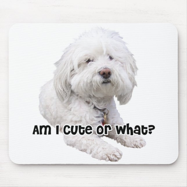 Bichon Frise Dog Mouse Pad (Front)