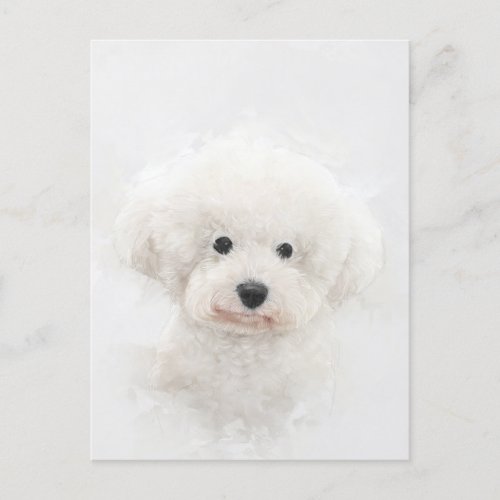 Bichon Frise Dog Portrait Postcard