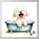 Bichon Frise Dog Poster at Zazzle