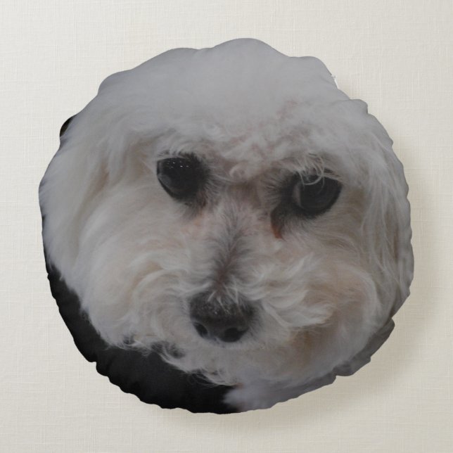 Bichon Frise Dog Round Pillow (Back)