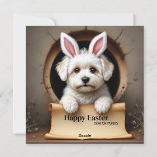 Bichon Frise dog - with Family Name Holiday Card