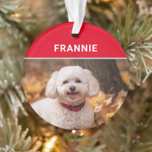 Bichon Frise Dog's Name and Photo Christmas Ornament