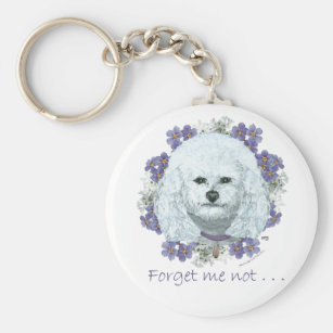bichon frise accessories