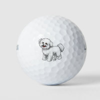 Bichon Frise