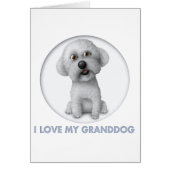 Bichon Frise Granddog (Front)