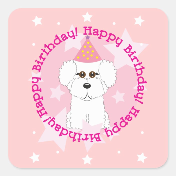 happy bichon frise