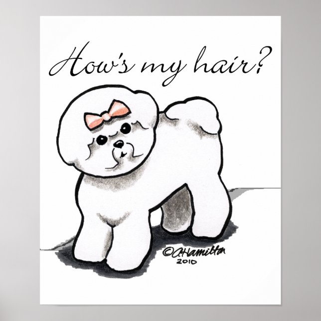 Bichon Frise Hows My Hair Poster (Front)