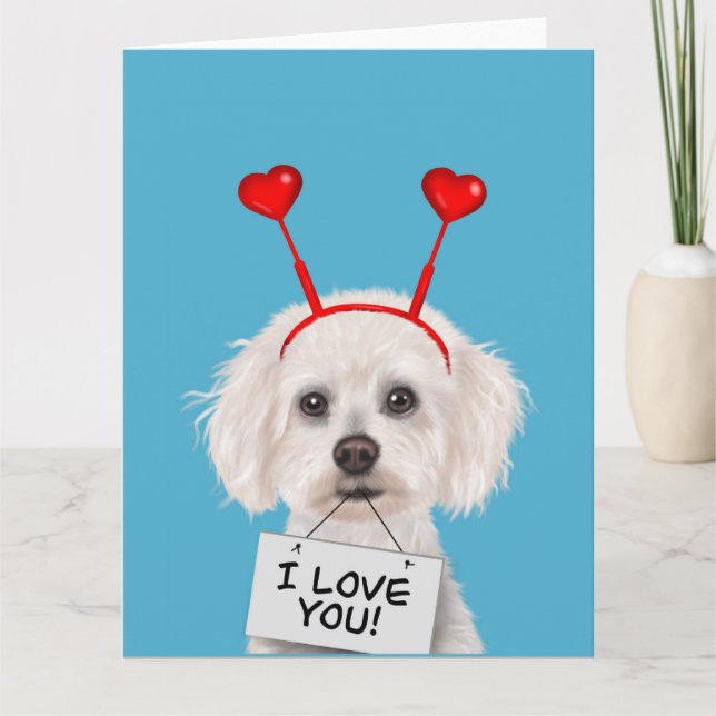 Bichon Frise "I Love You" Valentines Card (Front)