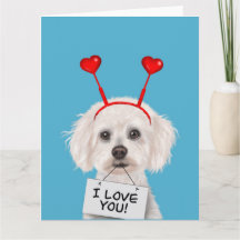 Bichon Frise "I Love You" Valentines