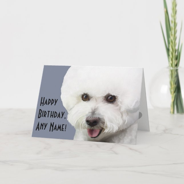 Bichon Frise Illustrated Birthday Card (Front)