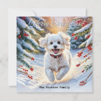 Bichon Frise in Snow Cute Dog Winter Christmas