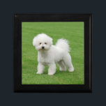 Bichon Frise Jewelry Box<br><div class="desc">Bichon Frisé, Bichon à poil frisé, Bichon Tenerife - cute white dog on lawn You can change - to adapt this project to fit your needs. You can add text, resize the image. You can delete a photo or add your image.</div>