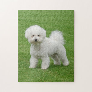 Bichon Frise Jigsaw Puzzle